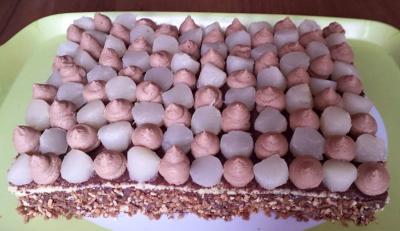 12187912_10208276177004943_2624128336357540916_n